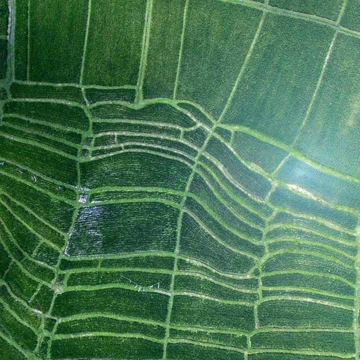 Entertainment zone at night in Portugal